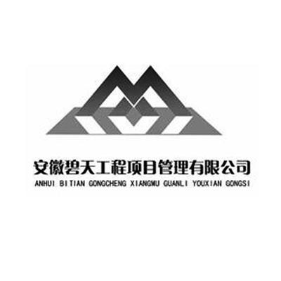 安徽碧天工程項目管理 引領卓越工程管理服務